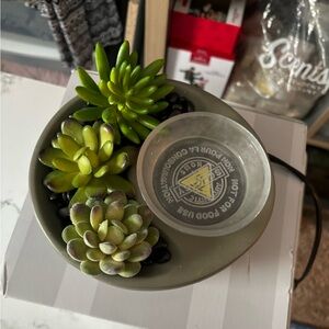 Scentsy Little Garden Warmer